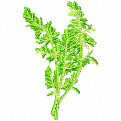 Flowers And Tree Embroidery Design 1